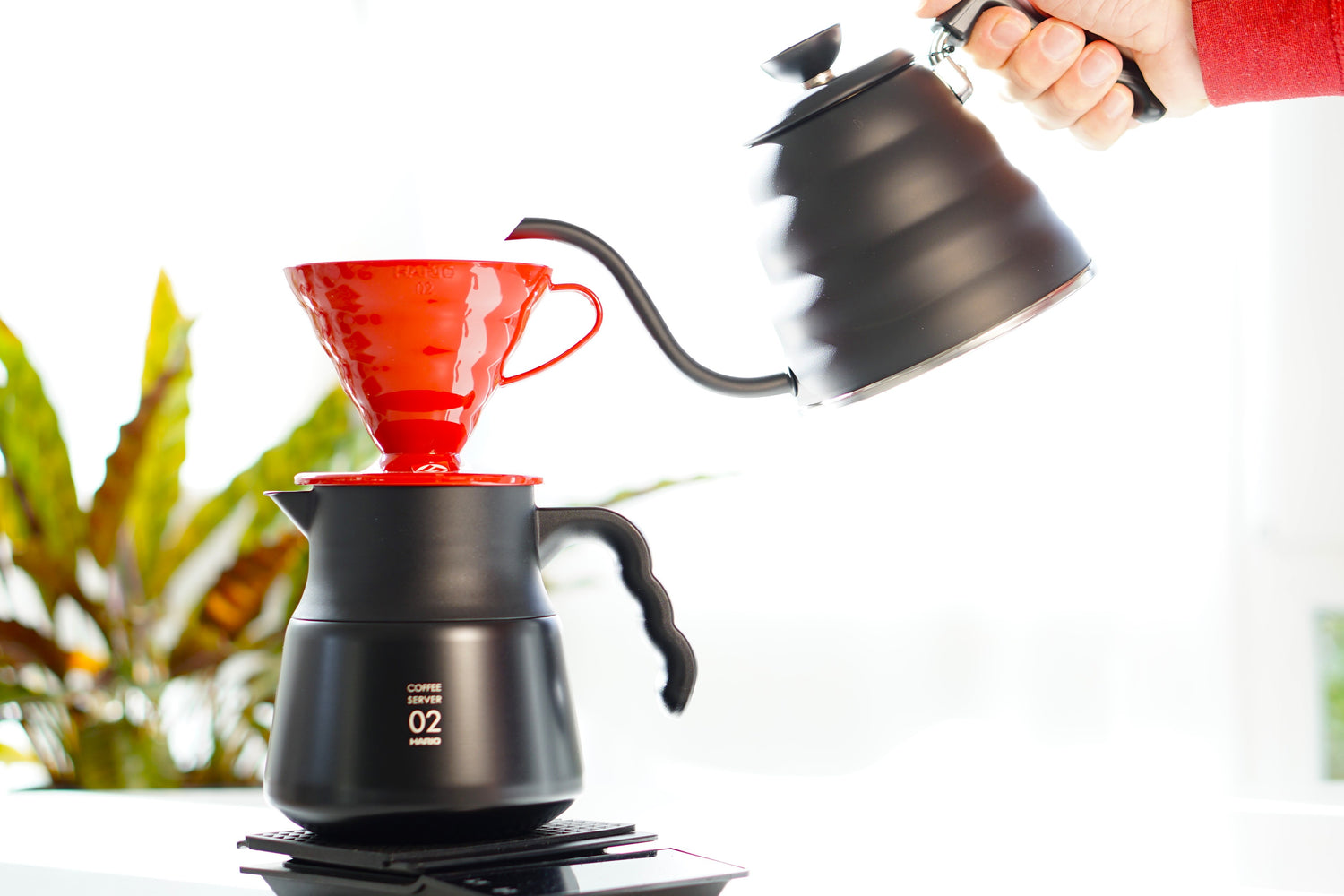 Hario V60 Buone Kettle und Serve 02